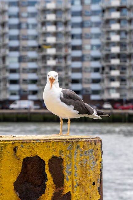 Преимущества и выбор климатической техники Fuji для Москвы