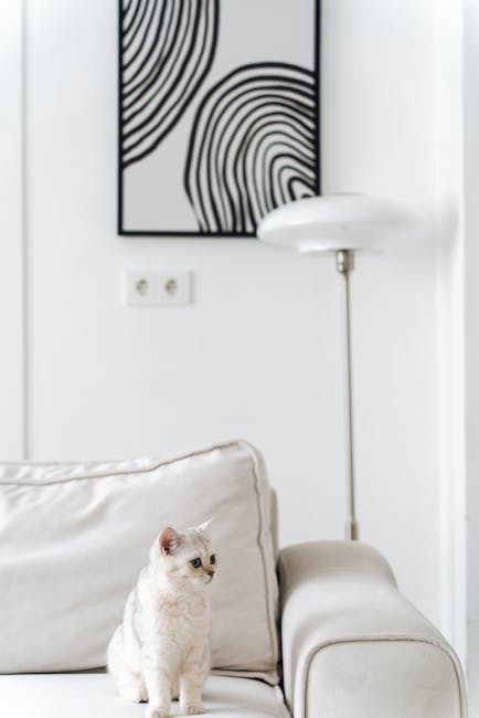 Мультисплит-системы Olimpia Splendid: особенности и преимущества для Москвы